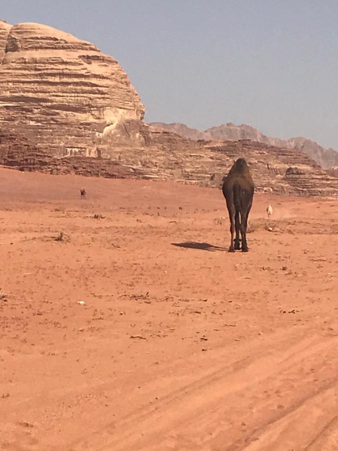 Bedouin House Camp Hotel Wadi Rum Exterior foto