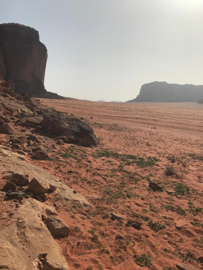Bedouin House Camp Hotel Wadi Rum Exterior foto